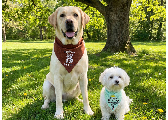 <h2>Handcrafted Embroidered Bandanas for the Dogs & Cats Who Already Steal the Show.</h2><h5>Double-sided, machine-washable, and stitched with sass for every holiday, every season, and every pun we could possibly fit on a triangle.</h5>